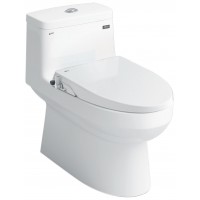 Bồn Cầu INAX AC-939/CW-S15VN Nắp Rửa Cơ (TDM)