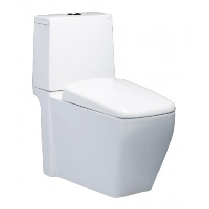 Bồn Cầu CAESAR CD1346 Thùng T1146 Nắp Êm Bồn Cầu Vệ Sinh Bồn Cầu CAESAR CD1346 Thùng T1146 Nắp Êm Bồn Cầu Vệ Sinh