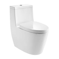 Bồn Cầu Moen SW3181C1 1 Khối