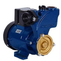 Máy Bơm Nước Panasonic GP-129JXK-SV5 Đẩy Cao