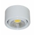 Đèn Led Gắn Nổi Duhal DGD0053 5W Chiếu Điểm Trang Trí