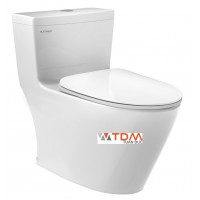 Bồn Cầu Viglacera Platinum P.11.320 Một Khối