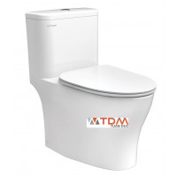 Bồn Cầu Viglacera Platinum P.11.321 Một Khối