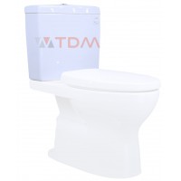 Két Nước Và Nắp Sứ Bồn Cầu TOTO HSW320PV#W (CS320, CS945)