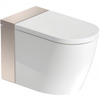 Bồn Cầu Điện Tử Duravit 620000022500320 Dòng Sensowahs I Plus Màu Vàng Hồng