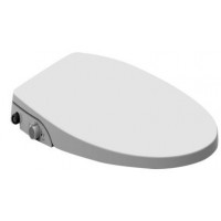 Nắp Rửa Cơ JOMOO 97142-00-1