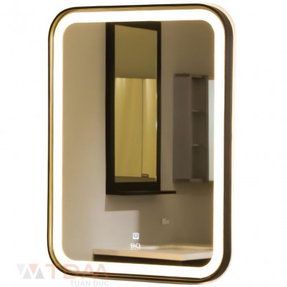 Gương Đình Quốc ĐQ 99905 Đèn Led 500 x 700 mm Viền Inox