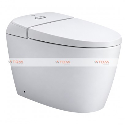 Bồn Cầu INAX AC-1010VN (AC1010VN) 1 Khối Nắp Êm - Tuấn Đức