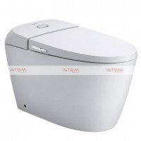 Bồn Cầu INAX AC-1011VN (AC1011VN) Nắp Rửa Cơ