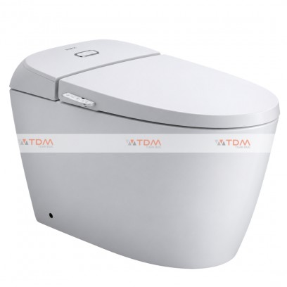Bồn Cầu INAX AC-1013VN (AC1013VN) Nắp Rửa Cơ - Tuấn Đức