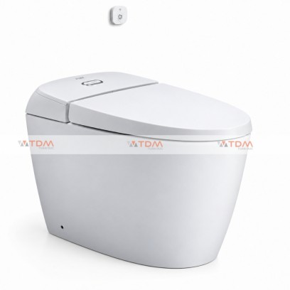 Bồn Cầu INAX AC-1012VN (AC1012VN) 1 Khối Nắp Êm - Tuấn Đức