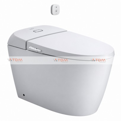 Bồn Cầu INAX AC-1013VN (AC1013VN) Nắp Rửa Cơ - Tuấn Đức