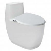 Bồn Cầu INAX AC-1052/CW-S15VN Nắp Rửa Cơ