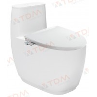 Bồn Cầu INAX AC-1052/CW-S32VN Nắp Rửa Cơ