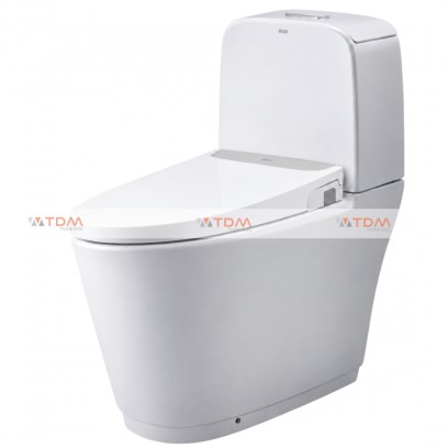 Bồn Cầu INAX AC-842/CW-S32VN Nắp Rửa Cơ Bồn Cầu Vệ Sinh