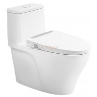 Bồn Cầu INAX AC-989+CW-S32VN Nắp Rửa Cơ