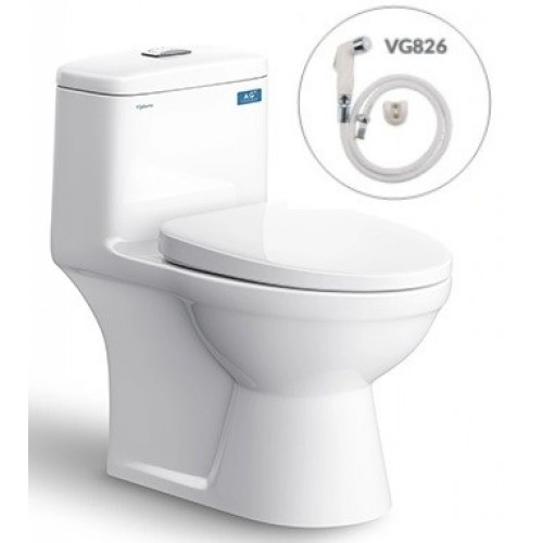 Bồn cầu Viglacera V825 (BL5V) xả xoáy VG826 bàn cầu 1 khối nắp V39M