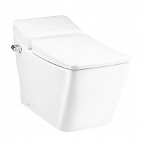 Bồn Cầu COTTO C10147 Một Khối Thantara