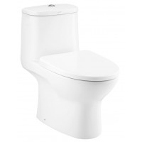 Bồn Cầu COTTO C1053 1 Khối Nắp C91252 Micc Xả Nhấn