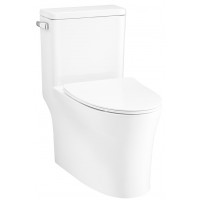 Bồn Cầu COTTO C105617 Một Khối Xả Gạt