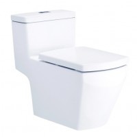 Bồn Cầu Cotto C107127 Một Khối Nắp Êm