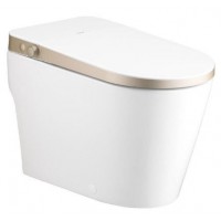 Bồn Cầu Thông Minh COTTO C109047 WH/GR Ultimate