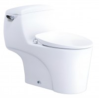 Bồn Cầu Nắp Rửa Cơ Caesar C1353F/TAF060 1 Khối