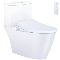 Bồn Cầu Điện Tử CAESAR C1363F/TAF512H (CD1363/TAF512H) Có Remote