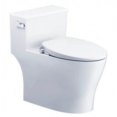 Bồn cầu nắp rửa cơ CAESAR C1374F/TAF060 bàn cầu 1 Khối - Tuấn Đức