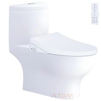 Bồn Cầu Điện Tử CAESAR C1375F/TAF512H Có Remote