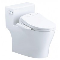 Bồn Cầu Điện Tử CAESAR C1393F/TAF400H 1 Khối