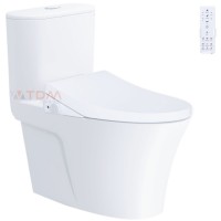 Bồn Cầu Điện Tử CAESAR C1395F/TAF512H Có Remote