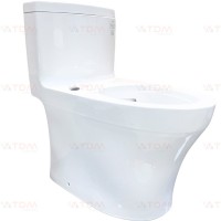 Thân Bồn Cầu TOTO C889CDR#XW Một Khối Giấu Dây