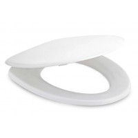 Nắp Êm Bồn Cầu Cotto C91005 (C1015, C12017)