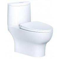 Bồn Cầu CAESAR CD1349 Thùng T1149 Nắp Êm