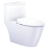 Bồn Cầu Nắp Rửa Cơ CAESAR C1363F/TAF060 (CD1363/TAF060) 1 Khối