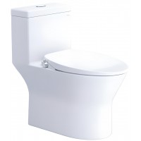 Bồn Cầu Nắp Rửa Cơ CAESAR C1374F/TAF060 1 Khối