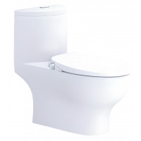 Bồn Cầu Nắp Rửa Cơ CAESAR C1375F/TAF060 1 Khối