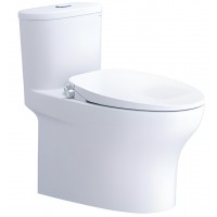 Bồn Cầu Nắp Rửa Cơ CAESAR C1394F/TAF060 1 Khối