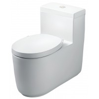 Bồn Cầu COTTO CPW10007 MWH#GR2 Một Khối Quil Xả Nhấn