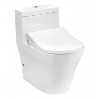 Bàn Cầu TOTO CW166RB/TCW09S Nắp Rửa Cơ  Chữ D