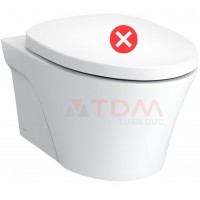 Thân Bồn Cầu TOTO CW822REA Treo Tường Giấu Dây