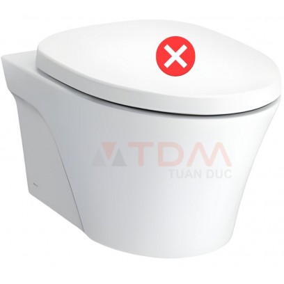 Thân Bồn Cầu TOTO CW822REA Treo Tường Giấu Dây