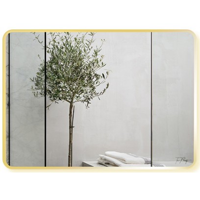 Gương Viền Nhôm GLS F12R60 Dòng F 80 x 60 cm