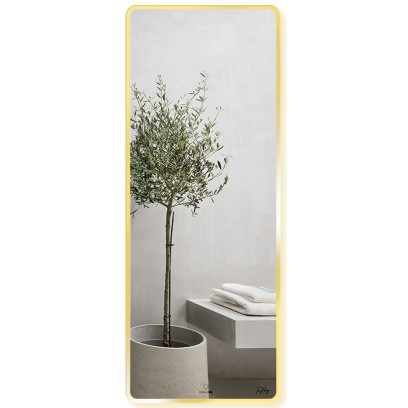 Gương Soi Toàn Thân GLS F12R70 Dòng F 60x160 cm Viền Nhôm
