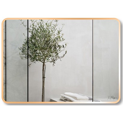 Gương Viền Nhôm GLS F13R60 Dòng F 80 x 60 cm