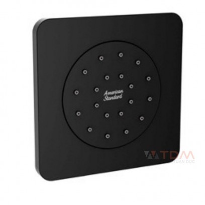 Đầu Sen American Standard FFASS054MB EasySET Âm Tường Màu Đen