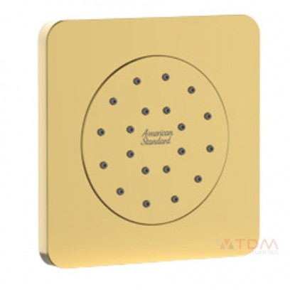 Đầu Sen American Standard FFASS054CS EasySET Âm Tường Màu Vàng