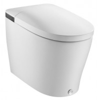 Bồn Cầu Moen HKSW1364C Thông Minh POLARIS Nút Nhấn Đen