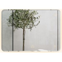 Gương Led GLS M35R61 Dòng M Ánh Sáng Ngoài 80x60 cm